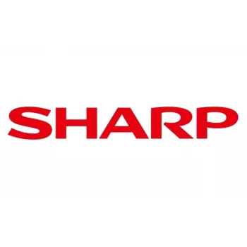 Sharp BP-HK900 heated hair roller kit