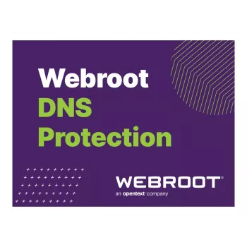 Webroot | DNS Protection with GSM Console | 2 year(s) | License quantity 10-99 user(s)