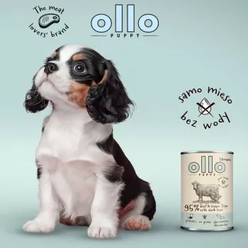 OLLO Puppy Umami Beef and Green Tripe with Duck Liver - wet dog food - 850g