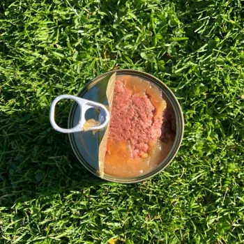 OLLO Pure Beef and Green Tripe wet dog food, 400 g