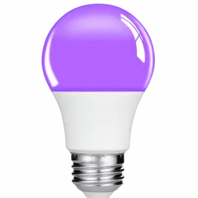 UV-lampor