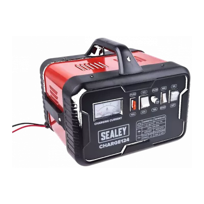 Batteriladdare för bil
