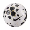 Nike Control 25 storlek 5 fotboll vit/svart HV4395 100