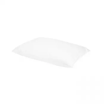 Kudde 100% anddun 1100g 50x70 hög