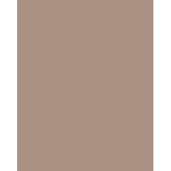 Folia 614/50 73 Cappuccino Solid A4 cardstock 300 g/m² 50 blad