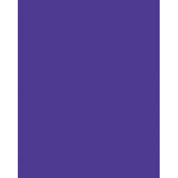 Folia 614/50 32 - violett - unifärg - A4 (210 x 297 mm) - 300 g/m² - 50 ark - Tyskland