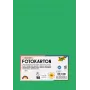 Folia 614/50 54 - grön - Enfärgad - A4 (210 x 297 mm) - 300 g/m² - 50 blad - Tyskland