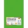 Folia 614/50 55 - grön - uni - A4 (210 x 297 mm) - 300 g/m² - 50 ark - Tyskland