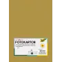 Folia 614/50 65 - guld - solid color - A4 (210 x 297 mm) - 300 g/m² - matt - 50 ark