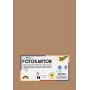 Folia 614/50 75 - brunröd - monokrom - A4 (210 x 297 mm) - 300 g/m² - 50 ark - Tyskland