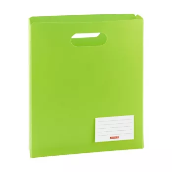 BRUNNEN FACT!pp dokumentbox A4 5 cm grön