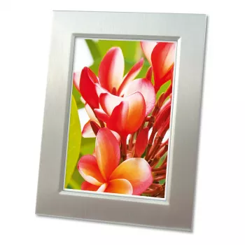Avery Zweckform 2556-20 Premium Glossy fotopapper, glansigt, A4, 250 g/m², 20 ark