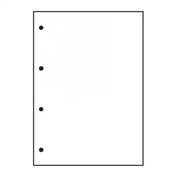 Oxford Brevpappersblock skola hålslaget A4 blank Lineatur 20