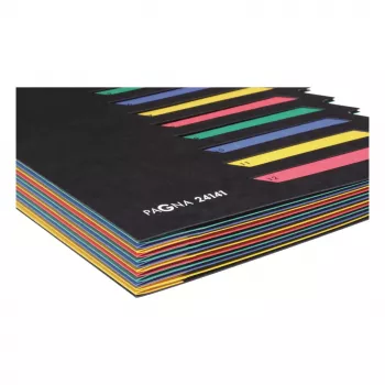 Pagna 24141-04 dokumentmapp 12 fack, A4, svart