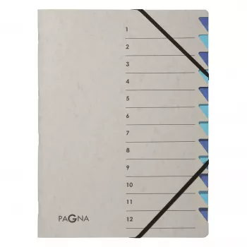 Pagna 44312-02 dokumentmapp, 12 fack, A4, grå