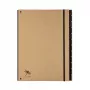 Pagna 44012-11 dokumentmapp – A4 – kartong – brun – 1 st