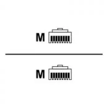 Rittal DK CMC III CAN-Bus anslutningskabel - nätverkskabel - RJ-45 kontakt till RJ-45 kontakt - 1,5 m (7030.092)