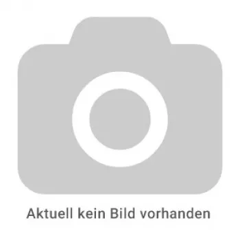 REINER pagineringsstämpel modell B6 - automatisk numreringsmaskin, 6-siffrig, 4,5 mm, svart