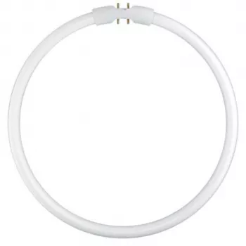 Osram ringformig lysrörslampa T5 FC22W 840 2GX13
