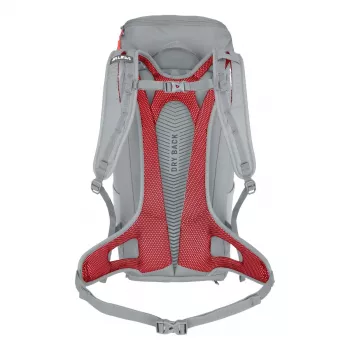 Salewa Alp Mate 30 damryggsäck - Alloy