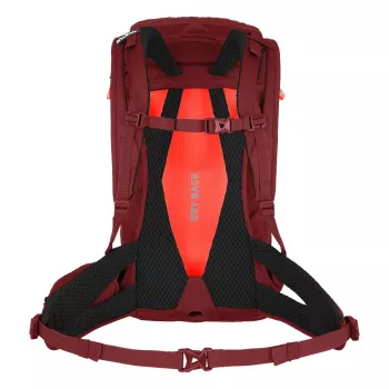 SALEWA Alp Trainer 20 damryggsäck Syrah