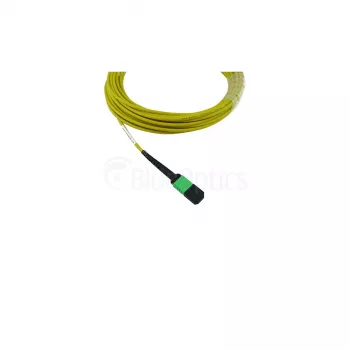 BlueOptics Cisco CB-M12-M12-SMF1M MPO-12-hona till MPO-12-hona OS2 singlemodefiber-patchkabel, 1 m, LSZH, gul