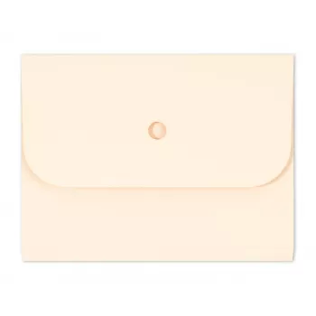 ELCO Ordo Forte Organisationsmapp A4, 320 x 245 mm, 320 g/m², Ljuschamois, 25 st (29494.41)
