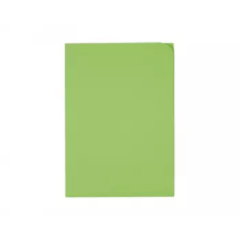 ELCO Ordo Discreta Organisationsmapp A4, 220 x 310 mm, 120 g/m², Intensivgrön, 100 st (29466.62)