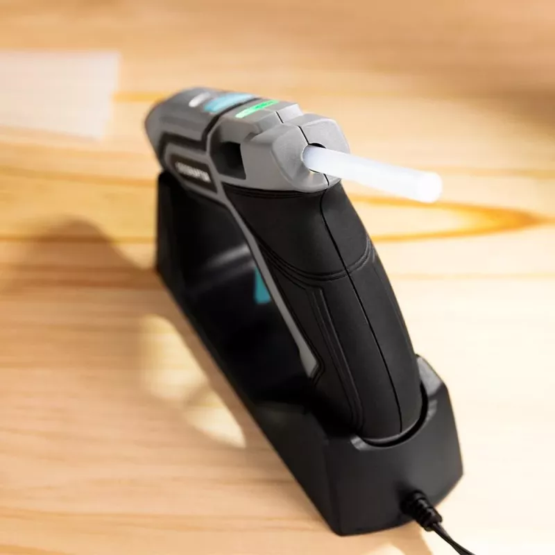 Cecotec Cecoraptor Perfect Fix 360 X-Treme limpistol