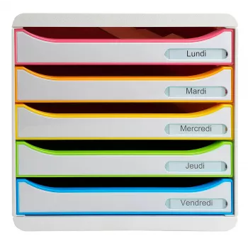 Exacompta BIG-BOX PLUS Office Harlequin Lådbox, 347 x 278 x 271 mm (309913D)