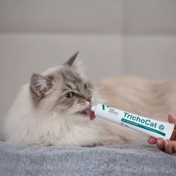 VETEXPERT TrichoCat anti-hairball-pasta för katter 50 g