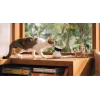 PETLIBRO Scout Smart AI-kamera
