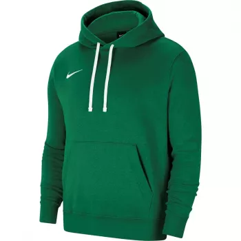 Nike Team Club 20 Hoodie Herr Pine Green