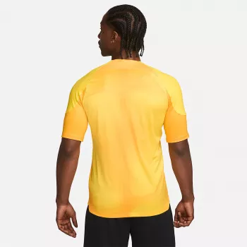 Nike Dri-FIT ADV Gardien IV herrmålvaktströja Opti Yellow/svart M