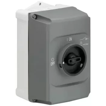 ABB STOTZ-KONTAKT isoleringskapsling IB132-G, 2-modul, utanpåliggande, IP30, vit (1SAM201911R1010)