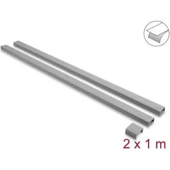 Delock självhäftande kabelkanal med skjutlock 30 x 14 mm, inkl. anslutning, 1 m, 2-pack, grå