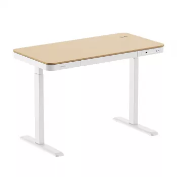 LogiLink höj- och sänkbart skrivbord, enkelmotor, 118x60cm, med trådlös laddning, vit