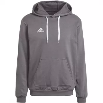 adidas Entrada 22 Hoody grå sweatshirt HB0578 L