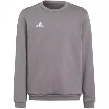 adidas Entrada 22 sweat top barn grå sweatshirt H57477 (116 cm)