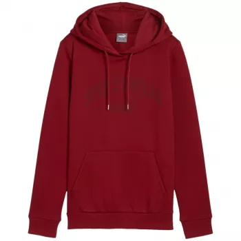 PUMA herr Essentials+ Logo LAB hoodie FL Bordeaux storlek L