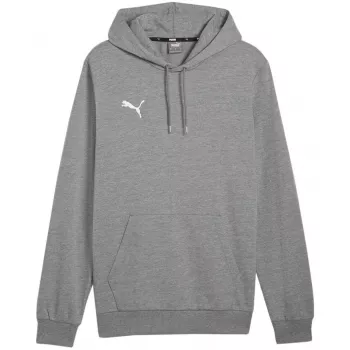 Puma Team Goal Casuals Hoody Medium Grey Heather herr kapuzenpullover