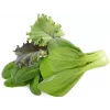 Click & Grow PPMAGX9 Smart Garden odlingskapslar 9-pack (blandade sorter, biologiskt nedbrytbara, med kupor)