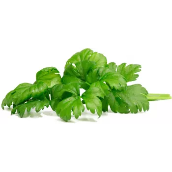 Click & Grow skärselleri odlingskapslar för Smart Garden, 3-pack (SGR97X3)