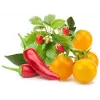 Click & Grow frukt- och grönsaksmix odlingskapslar för Smart Garden, 9-pack (PPMFVX9)
