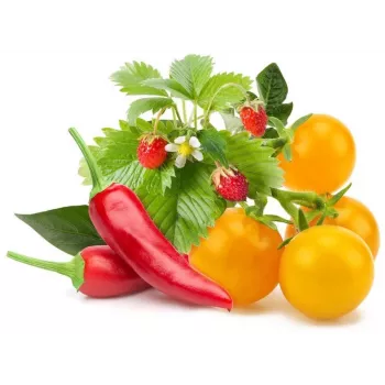 Click & Grow frukt- och grönsaksmix odlingskapslar för Smart Garden, 9-pack (PPMFVX9)