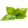 Click & Grow citronbasilika odlingskapslar för Smart Garden, 3-pack (SGR76X3)