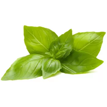Click & Grow citronbasilika odlingskapslar för Smart Garden, 3-pack (SGR76X3)