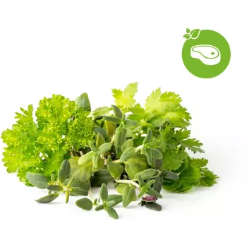 Click & Grow steak-örter-mix odlingskapslar för Smart Garden, 9-pack (PPMSSX9)