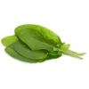 Click & Grow ängssyra växtkapslar för Smart Garden, 3-pack (SGR55X3)