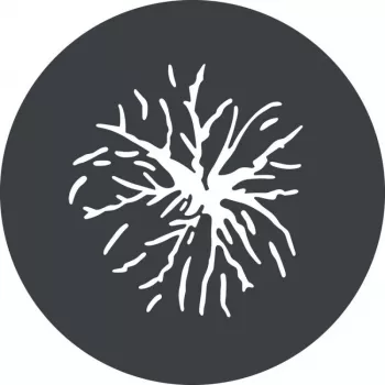 Godox GP GS2 gobo-set för GP-projektionsadapter (6 mönster)